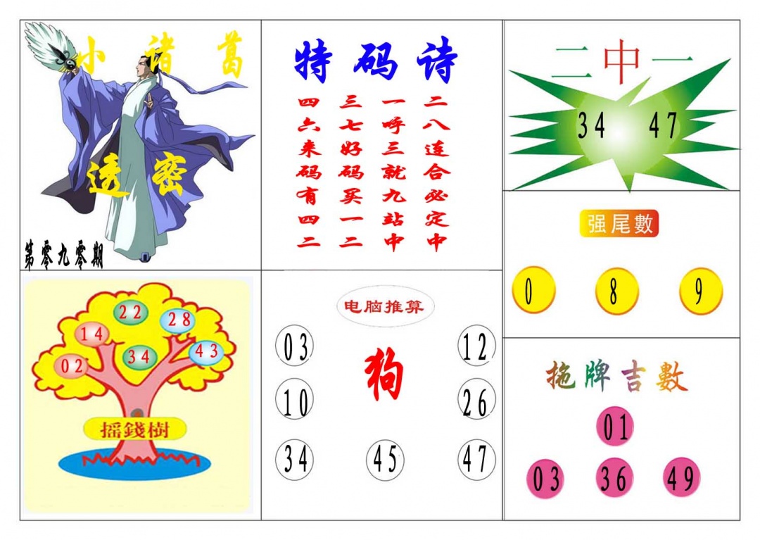 090期小诸葛[图]